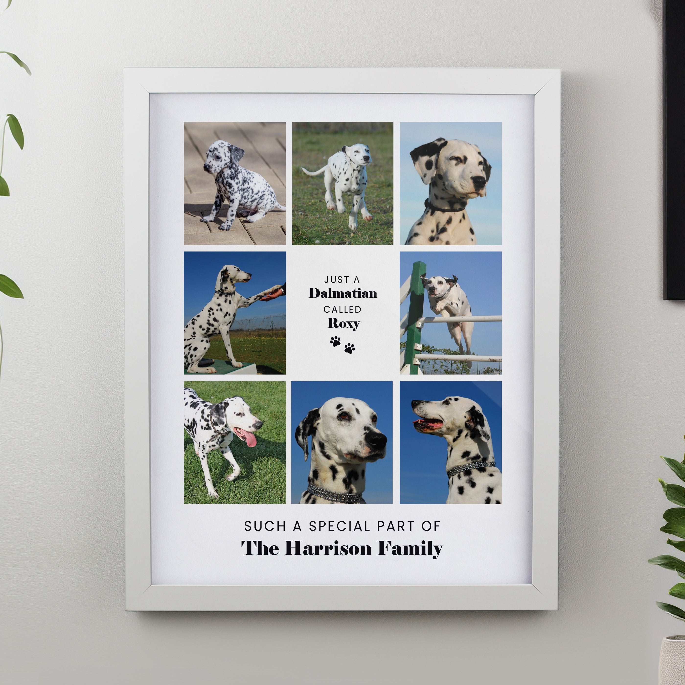 Personalised Pet Multi Photo Upload White Framed Print