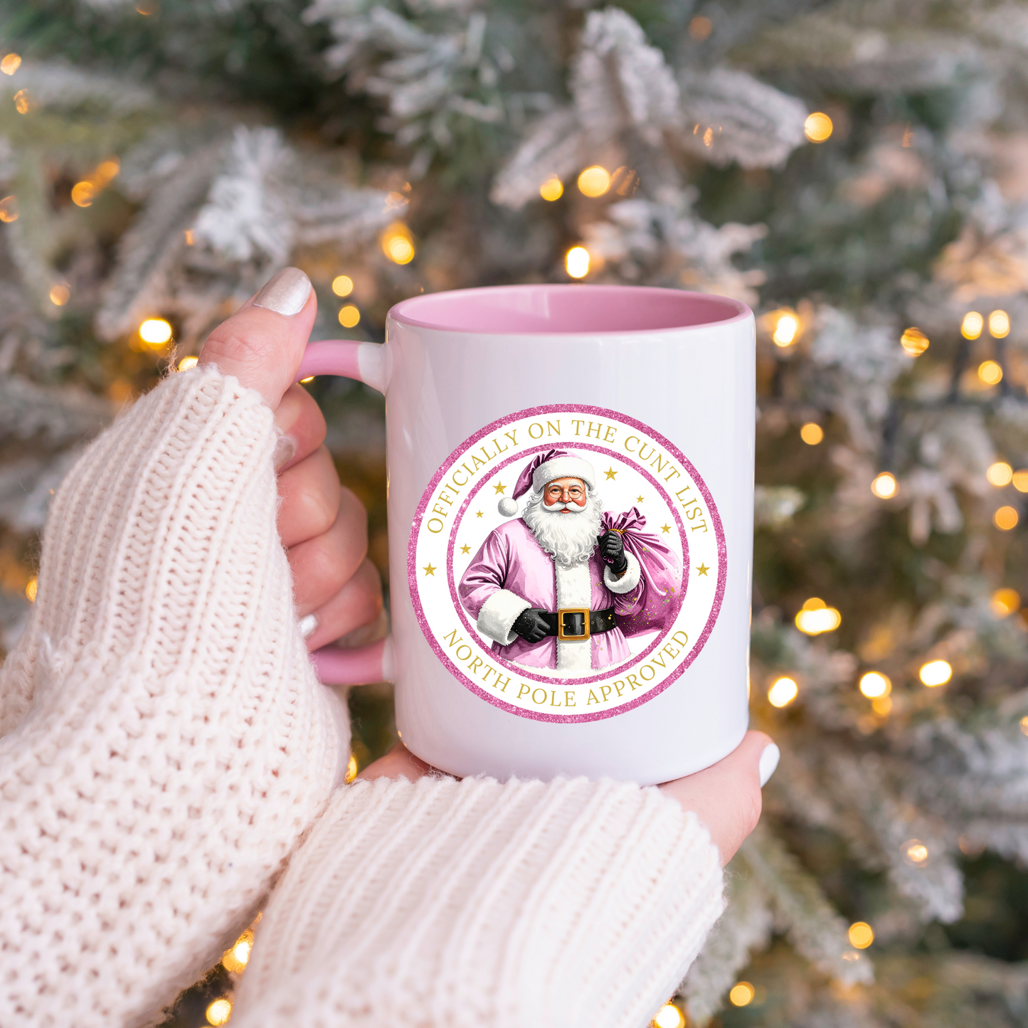 Cheeky Santa Mug C*** List (LANGUAGE WARNING ⚠️)