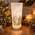 Snowy Robin Frosted Glass LED Light – Christmas Robin Decoration 20cm