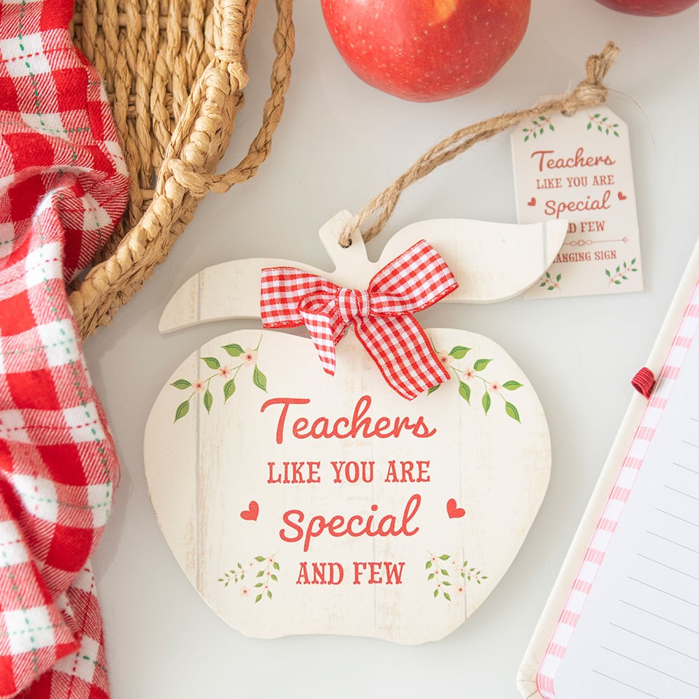 Teachers Like You, Apple Hanging Decoration