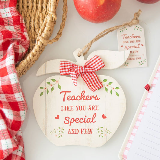 Teachers Like You, Apple Hanging Decoration