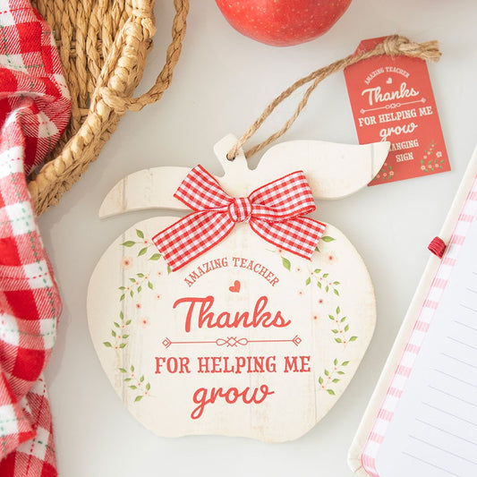 Thanks For Helping Me Grow, Apple Hanging Decoration