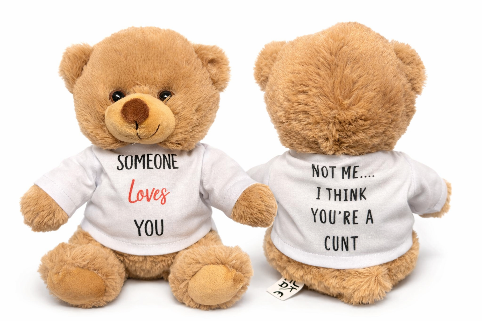 ⚠️ ( Offensive Language ) ⚠️ Someone Loves You… (Not Me) Teddy Bear – 8 Inch