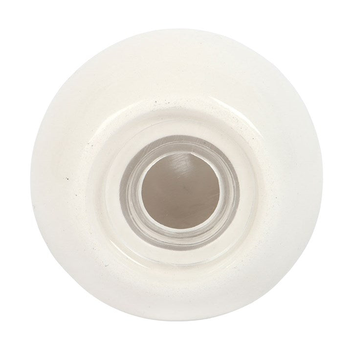 Clam Shell Salt and Pepper Shakers