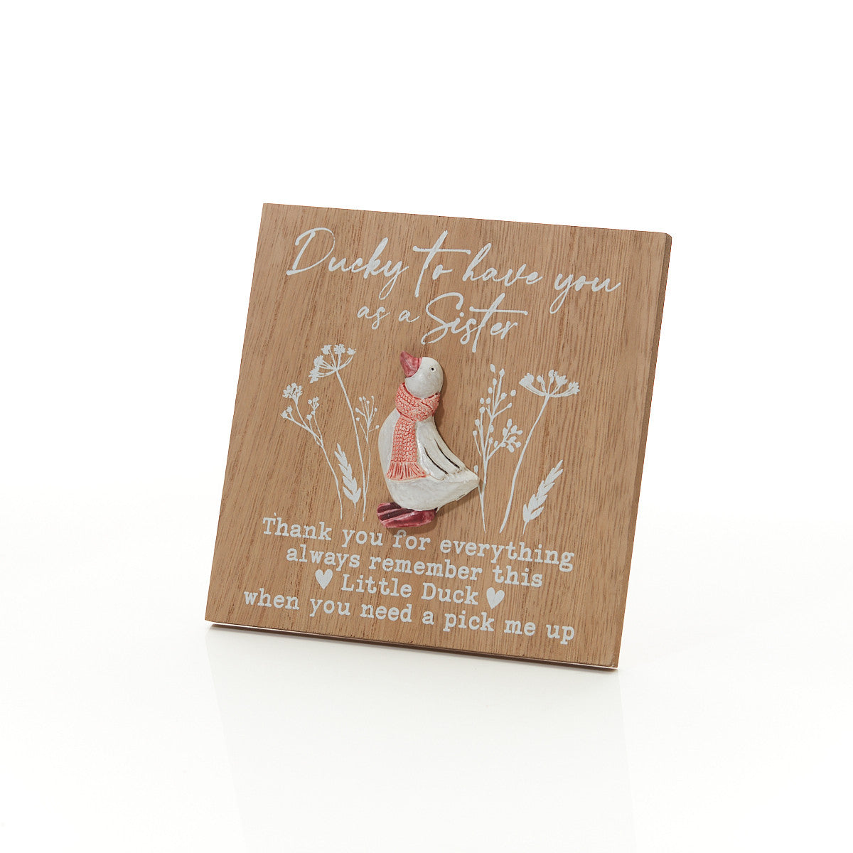 Duck Easel Plaquel - 4 Designs Available