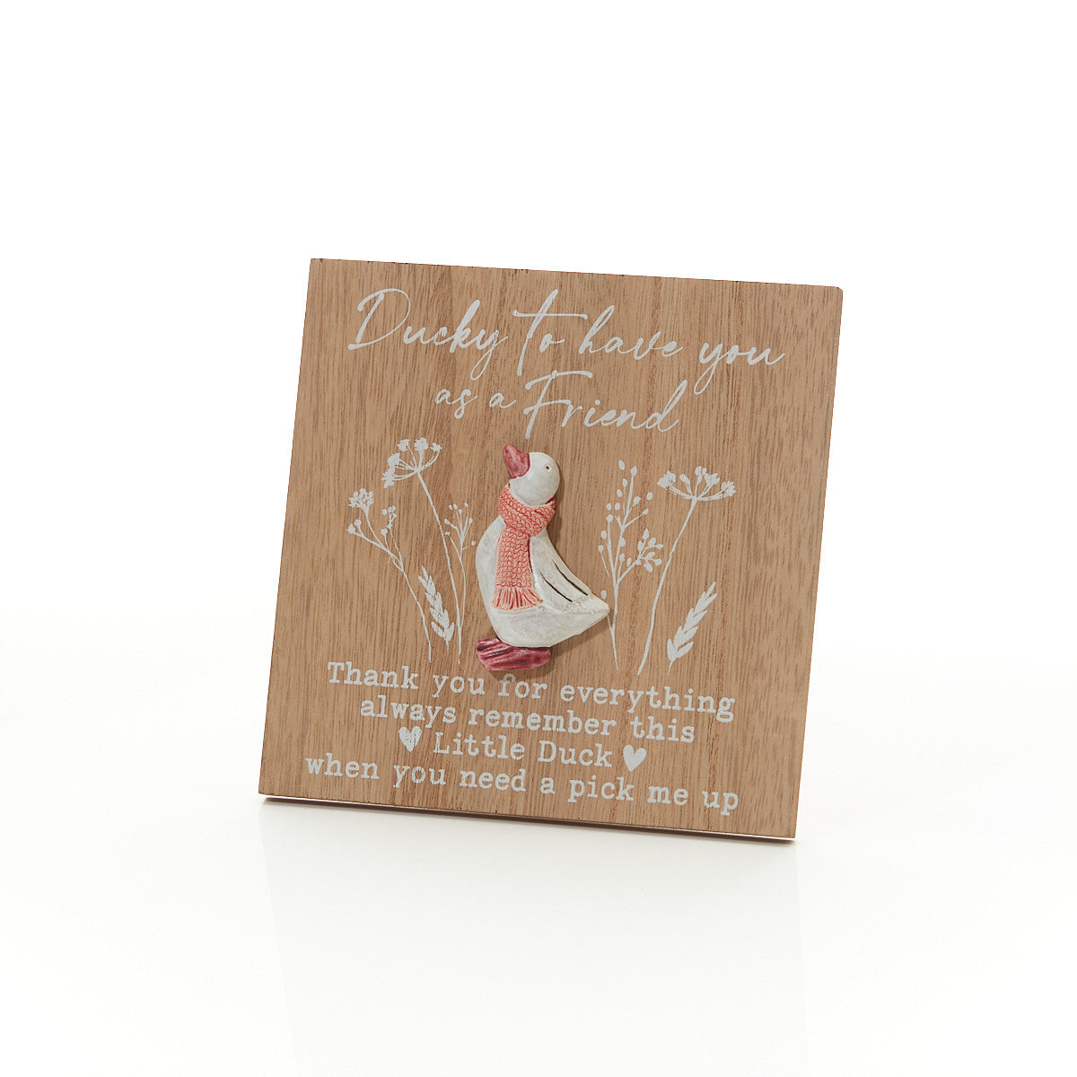 Duck Easel Plaquel - 4 Designs Available