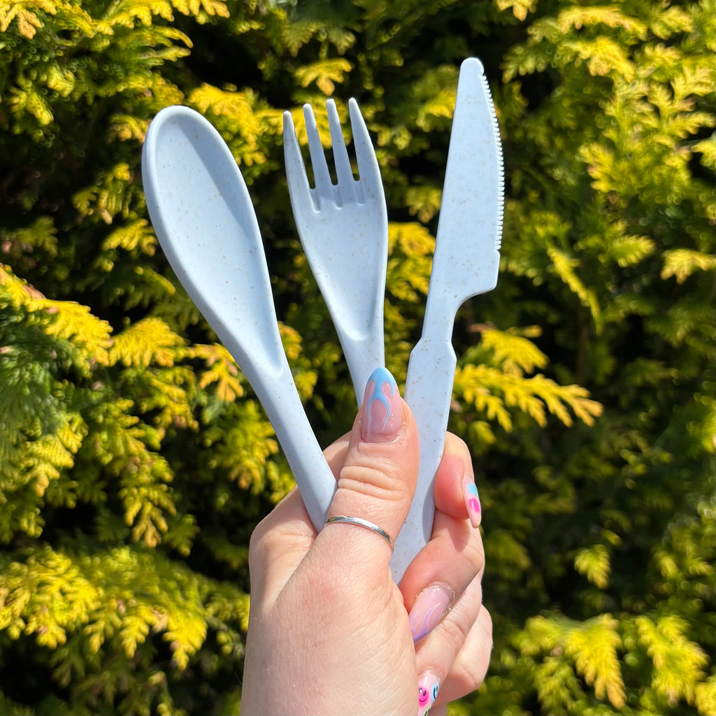 Reusable Travel Cutlery Set with Case