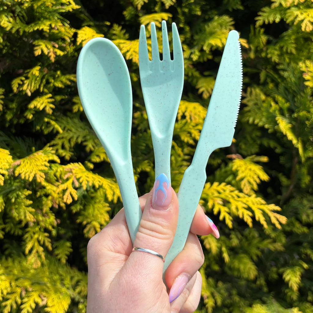 Reusable Travel Cutlery Set with Case