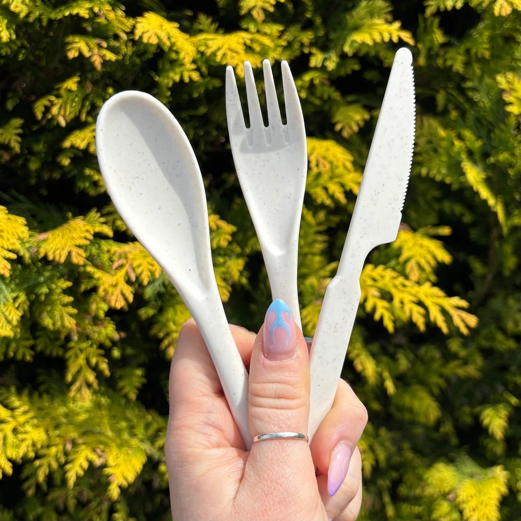 Reusable Travel Cutlery Set with Case