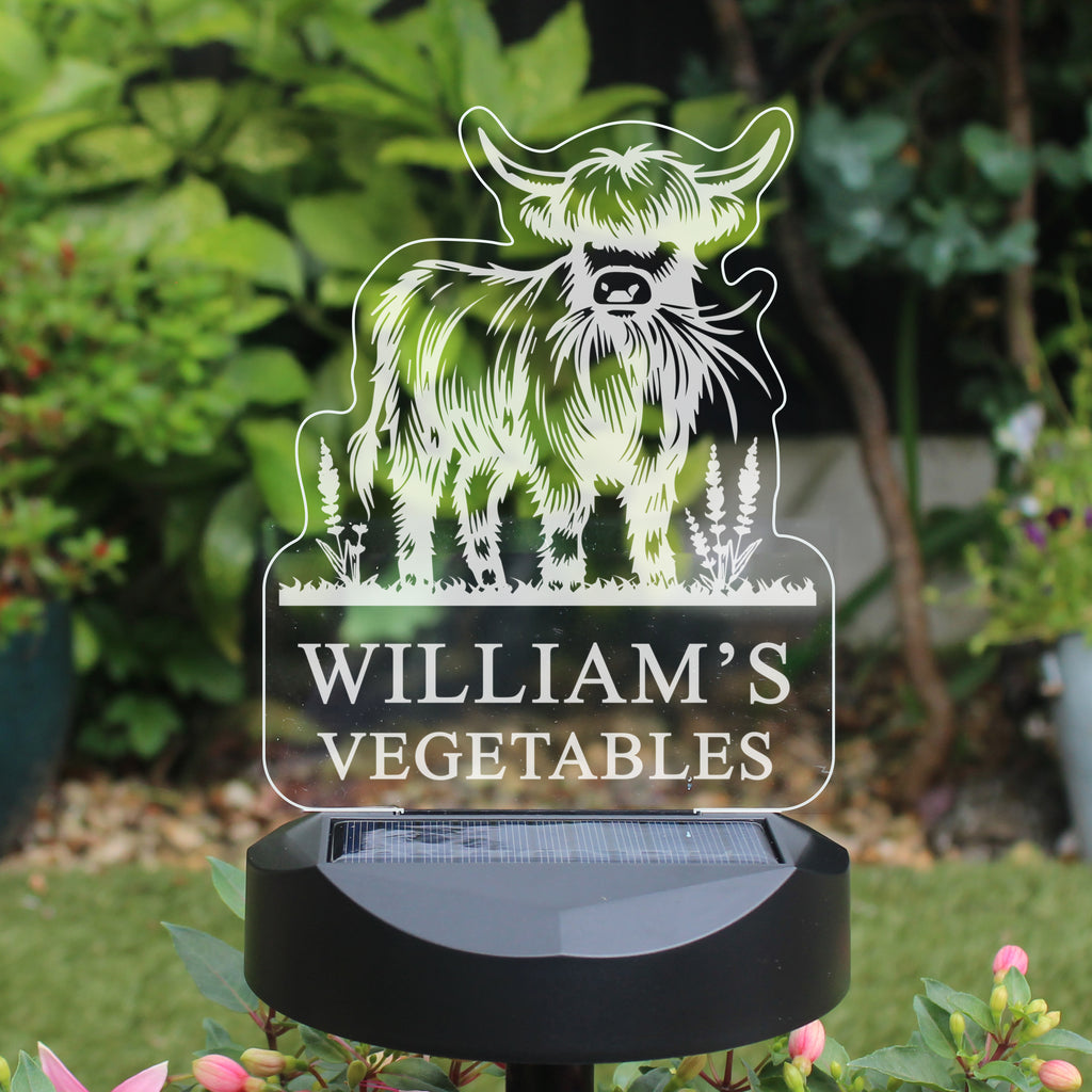 Personalised Highland Garden Solar Light