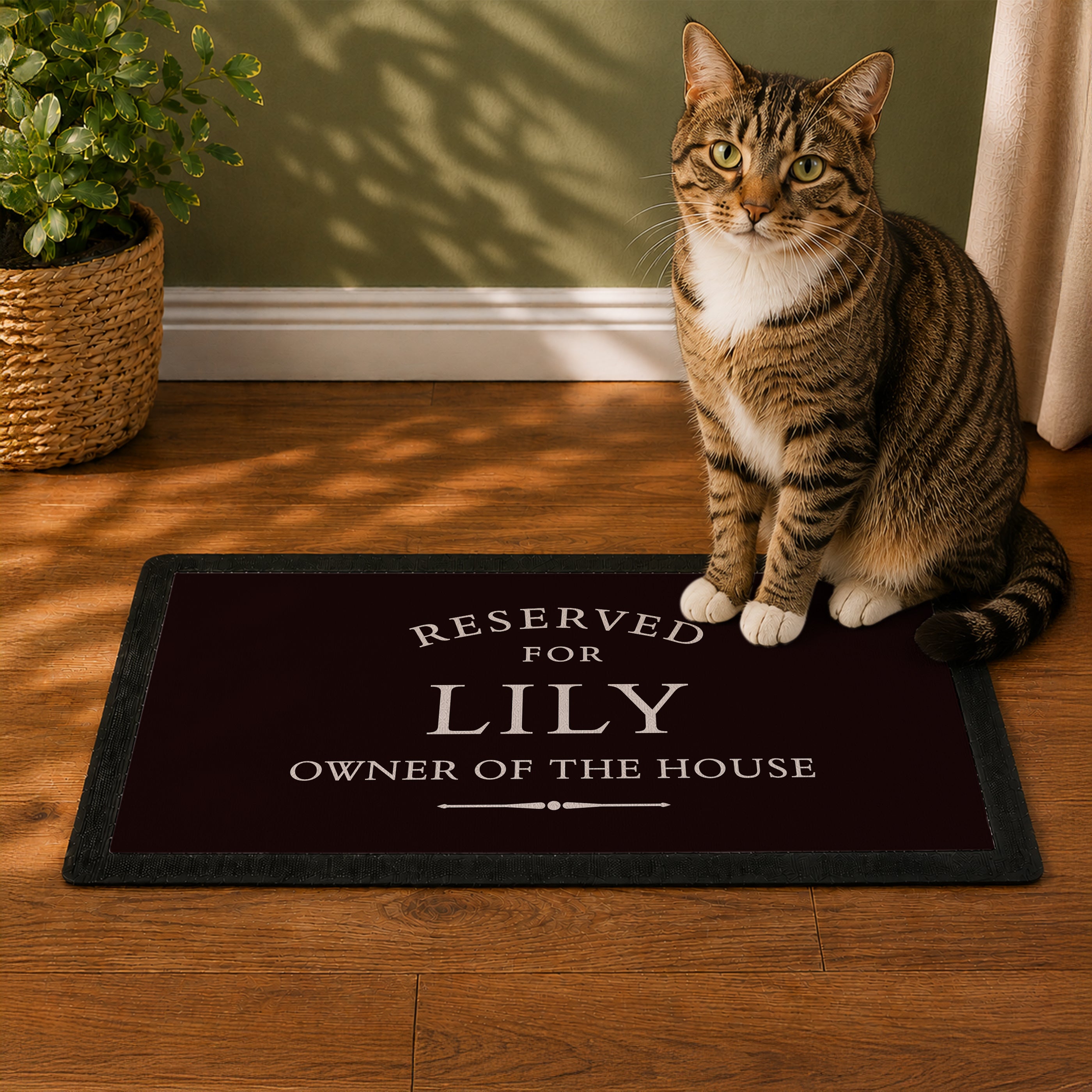 Personalised Reserved For Pet Bowl Mat