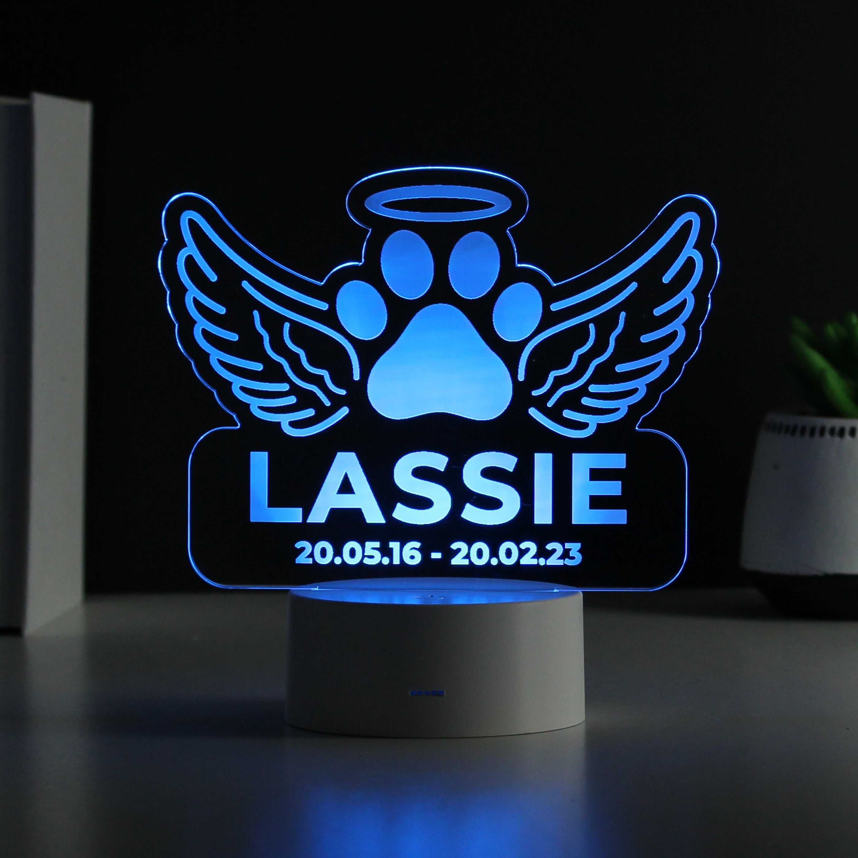 Personalised Pet Memorial LED Light