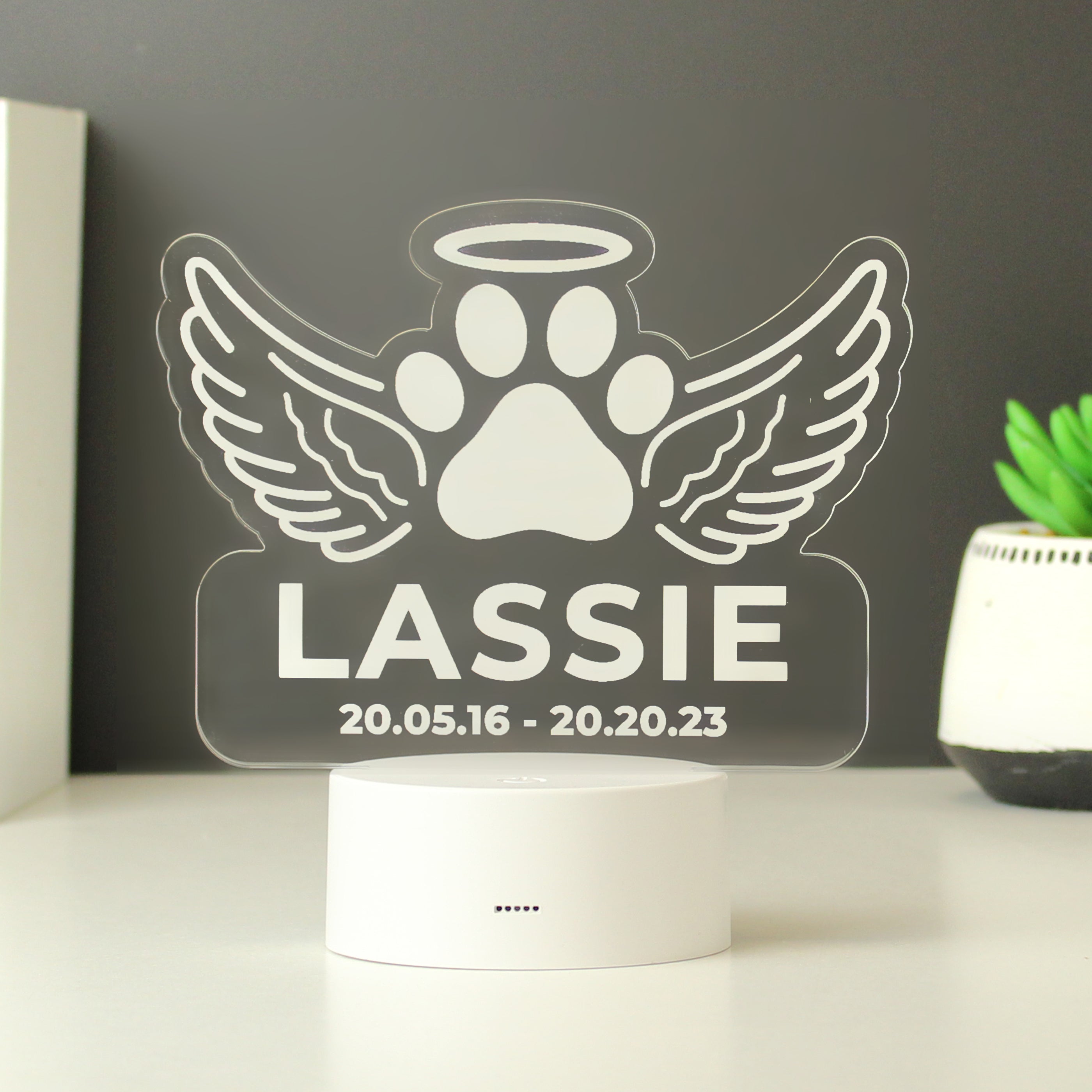 Personalised Pet Memorial LED Light