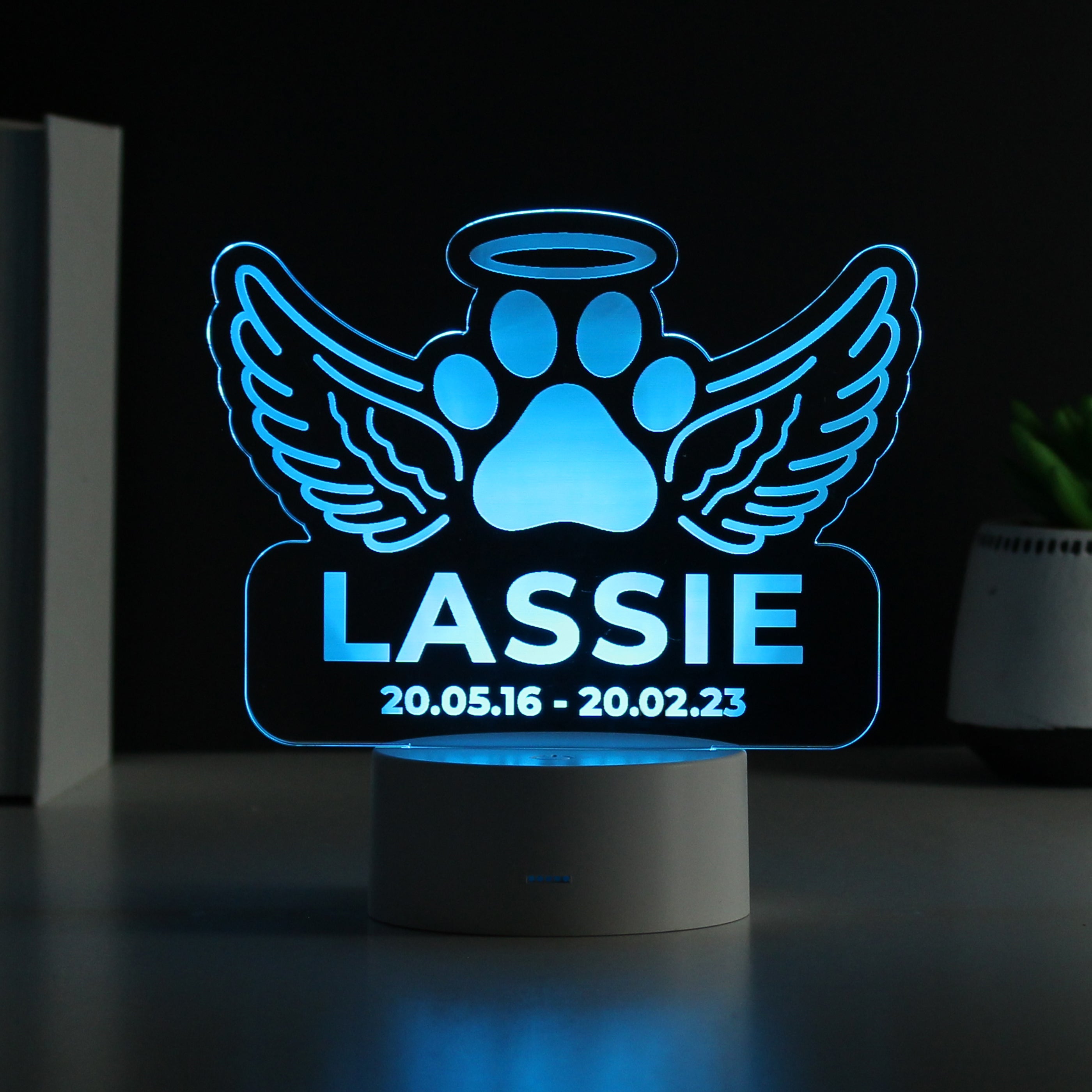 Personalised Pet Memorial LED Light