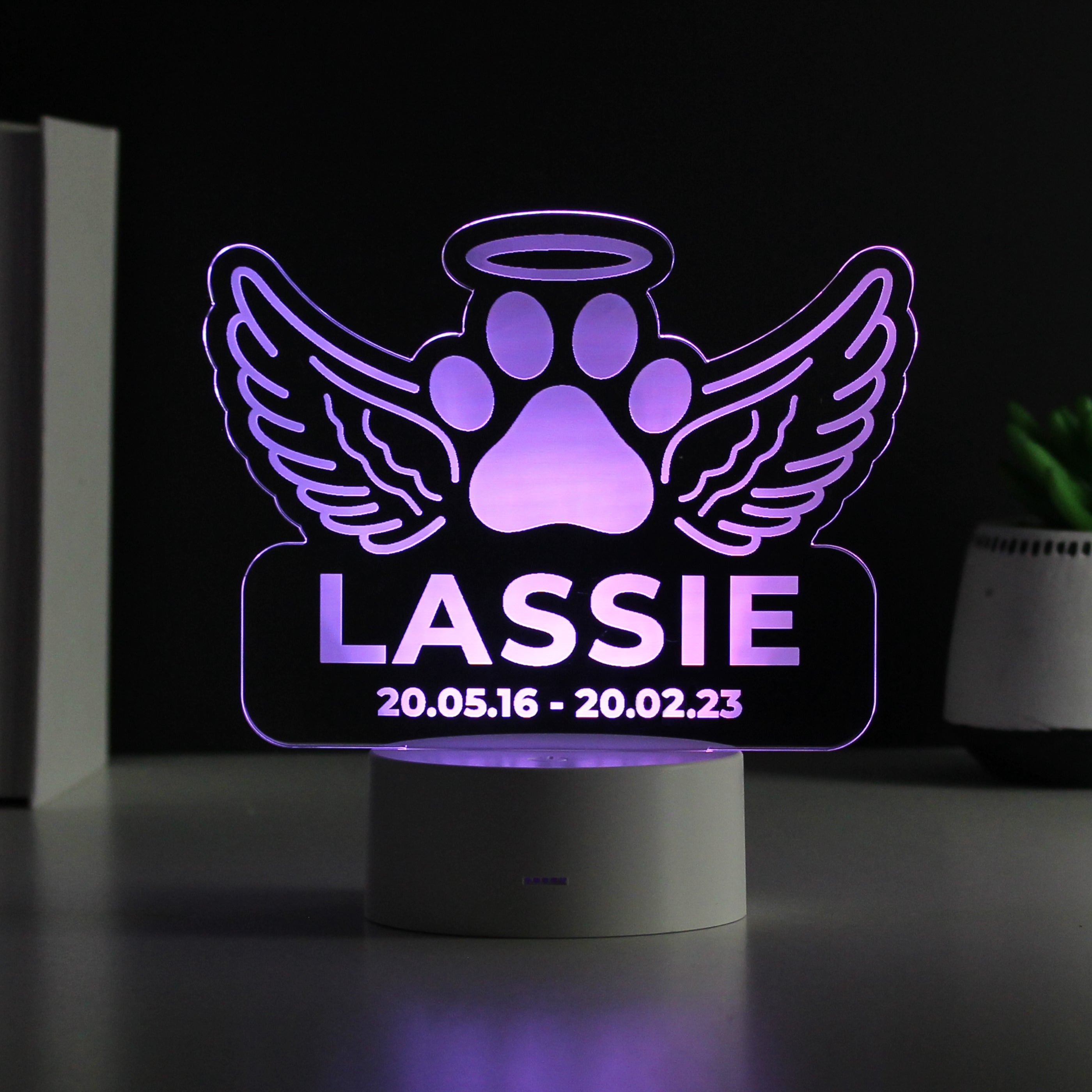 Personalised Pet Memorial LED Light