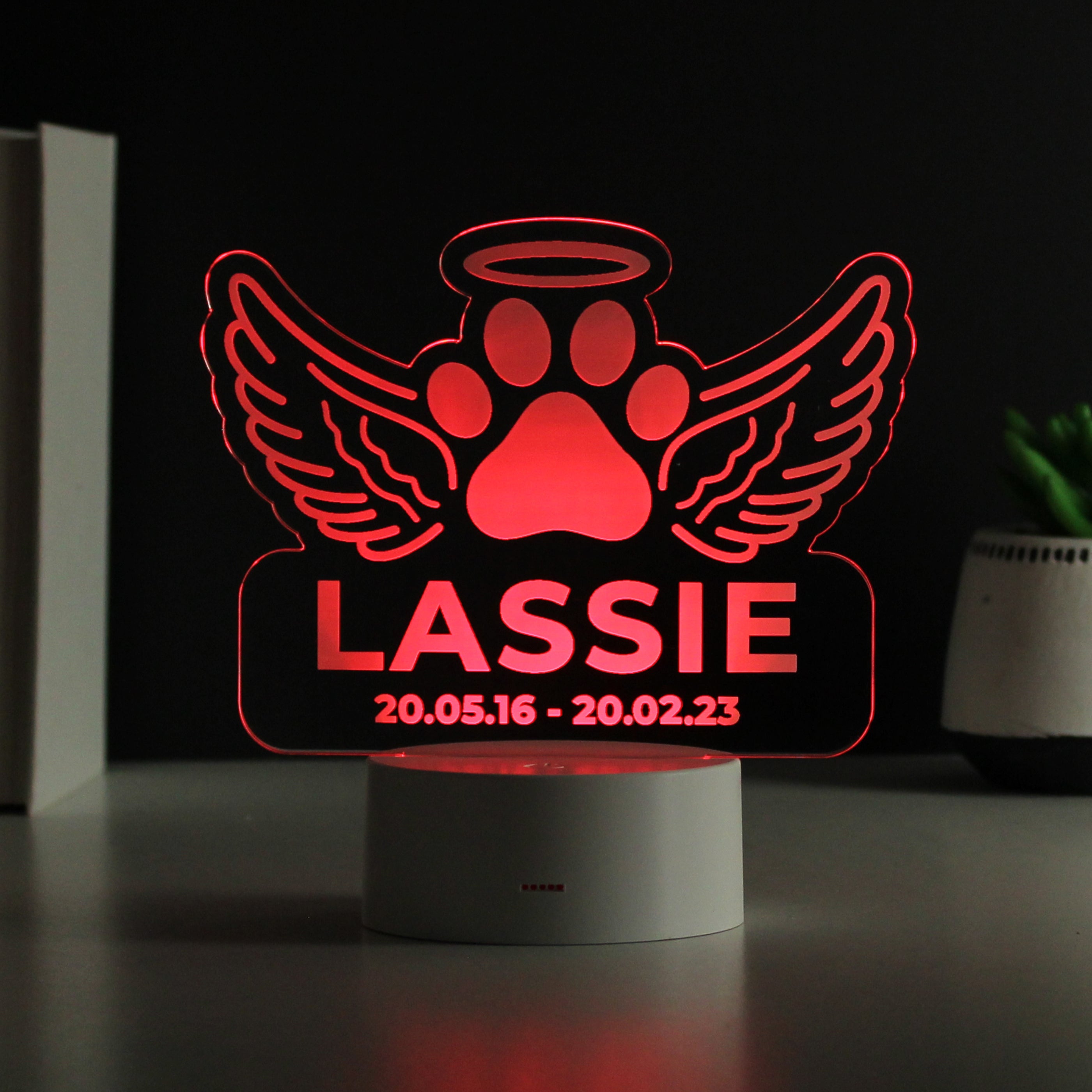 Personalised Pet Memorial LED Light